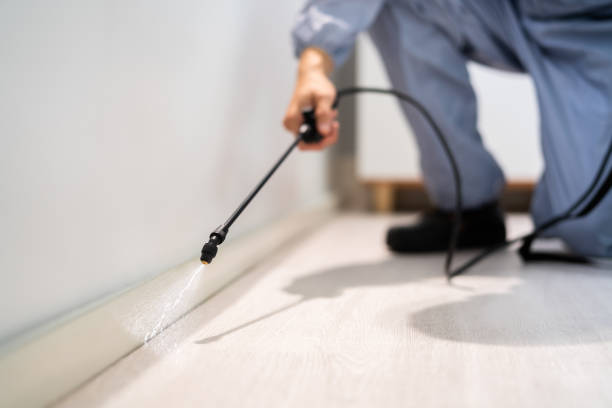 Licensed Pest Control service in Charlottesville, VA - Show Me Pest Control
