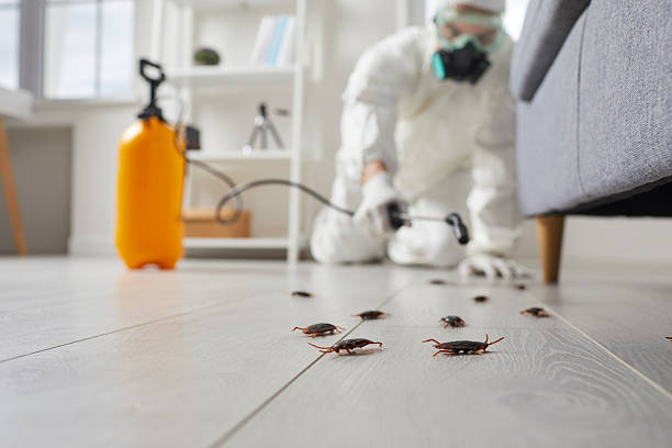 Post-Treatment Bed Bug Interceptor Monitoring in Charlottesville